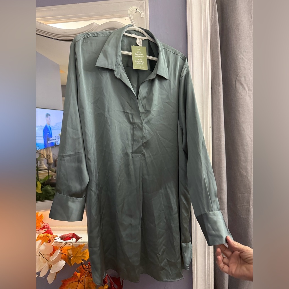 H&M Sage Green Button Down Shirt